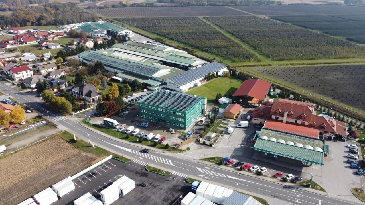 Hotel Kralj Donji Kraljevoc Exterior foto